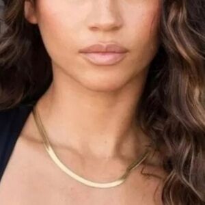 Jennifer Zeuner NWT Hamilton 14k Plated Gold Herringbone Italy Necklace $187